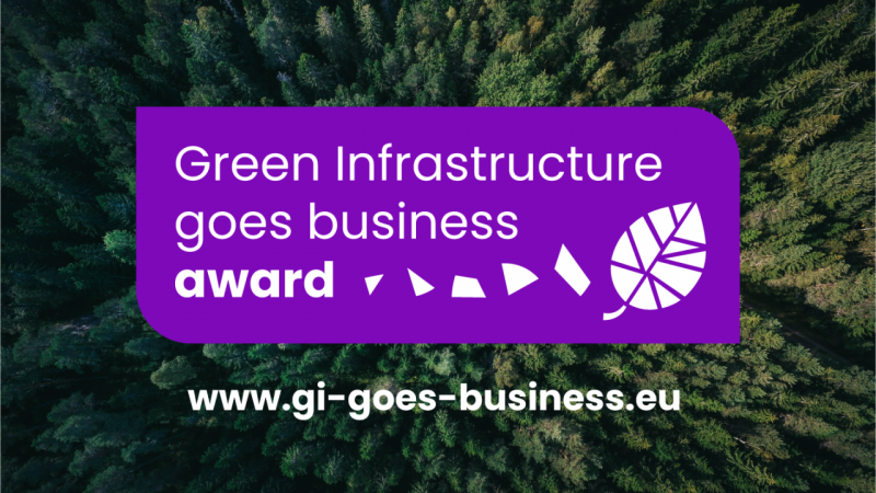 The Green Infrastructure goes business award is now open for application!