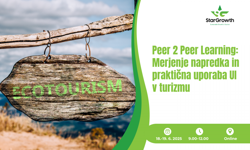 Peer 2 Peer Learning: Measuring Progress and the Practical Use of AI in Tourism