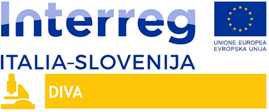 DIVA: Razvoj inovacijskega ekosistema in verig vrednosti: podpiranje čezmejnih inovacij s pomočjo ustvarjalnih industrij